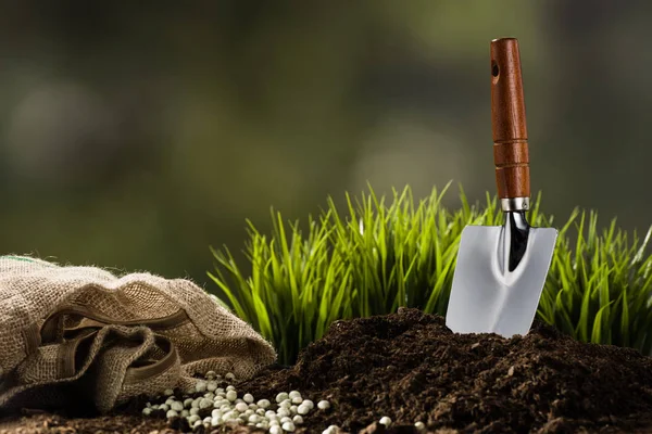 Plantando uma pequena planta em pilha de solo — Fotografia de Stock