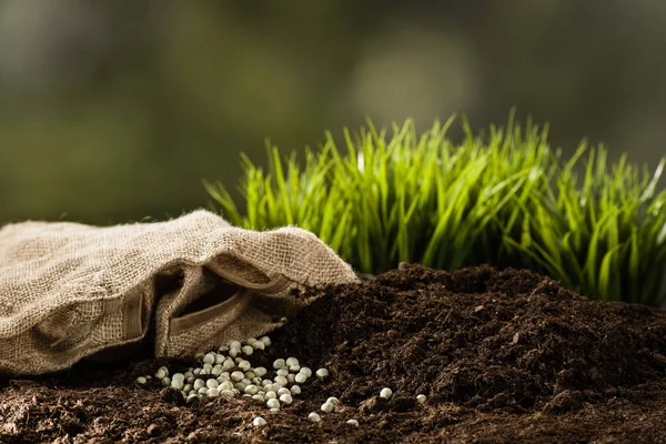 Plantando uma pequena planta em pilha de solo — Fotografia de Stock