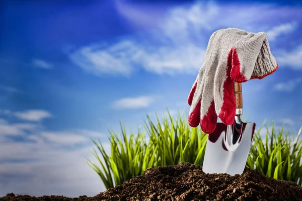 Plantando uma pequena planta em pilha de solo — Fotografia de Stock