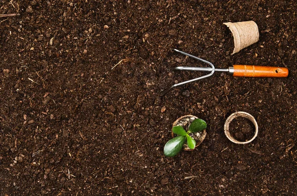 Bekerja di kebun, menanam tanaman. Tampilan atas tanah . — Stok Foto