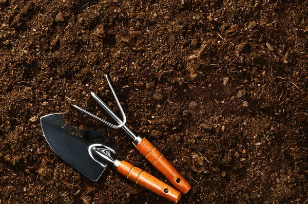 Trabalhando no jardim, plantando uma planta. Vista superior do solo . — Fotografia de Stock