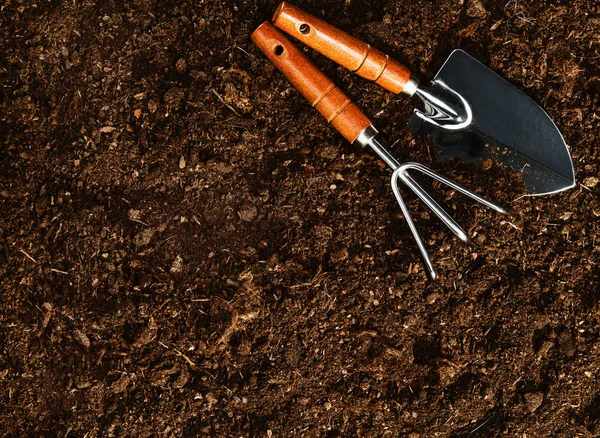 Trabalhando no jardim, plantando uma planta. Vista superior do solo . — Fotografia de Stock