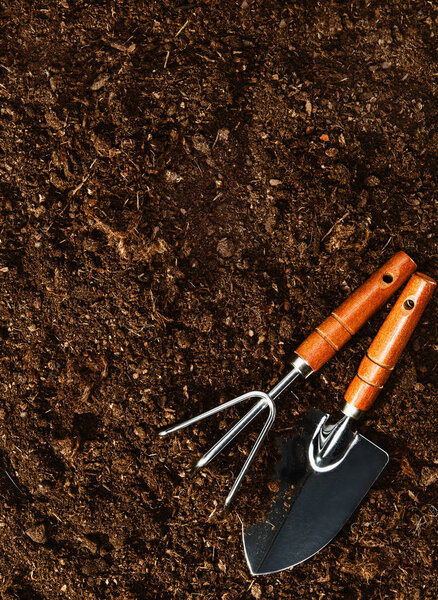 Работал в саду, посадил растение. Вид сверху на грунт
.