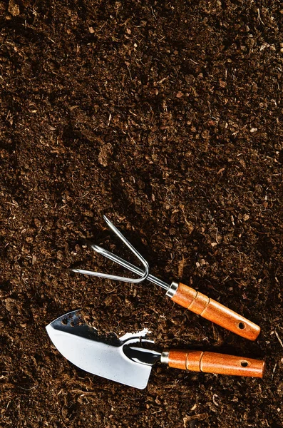 Lavorare in giardino, piantare una pianta. Vista dall'alto del suolo . — Foto Stock