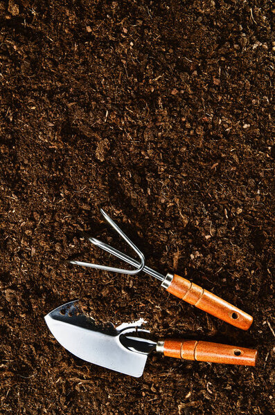 Работал в саду, посадил растение. Вид сверху на грунт
.