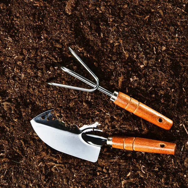 Working in the garden, planting a plant. Soil top view. — Stock Photo, Image