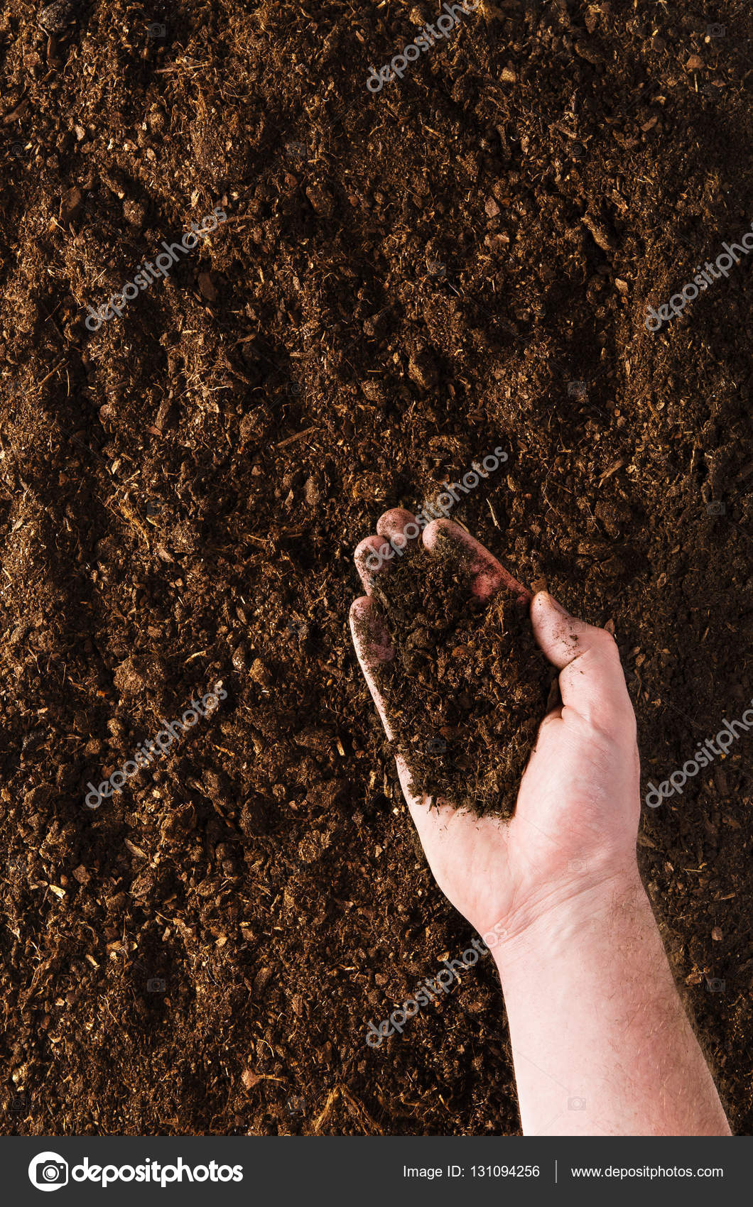 fertile garden. fertile garden soil texture background top view \u2014 stock photo i