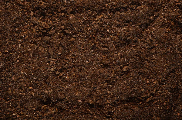 Fertile garden soil texture background top view — Stock Photo, Image