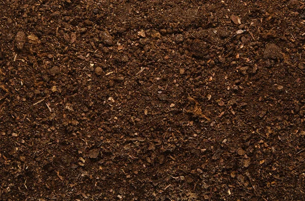 Fertile garden soil texture background top view — Stock Photo, Image