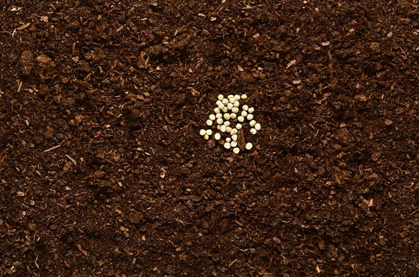 Żyzne gleby w ogrodzie tekstura tło widok z góry — Zdjęcie stockowe