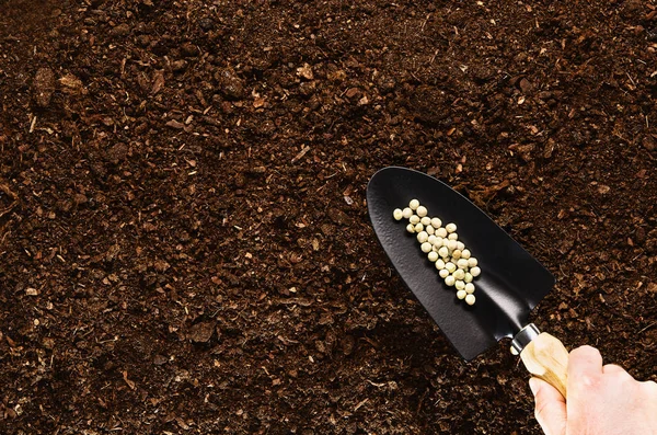 Termékeny kerti talaj textúra háttér felülnézet — Stock Fotó