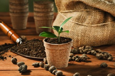 Bahçe, yaz adet eser bulunmaktadır. Bir pot çiçek dikim