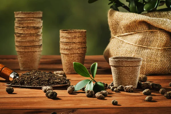 Bahçe, yaz adet eser bulunmaktadır. Bir pot çiçek dikim