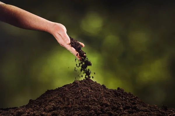 Рука поливає чорний ґрунт на фоні зеленої рослини боке — стокове фото