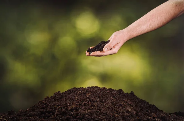 녹색 식물 bokeh 배경에 검은 흙을 붓는 손 — 스톡 사진