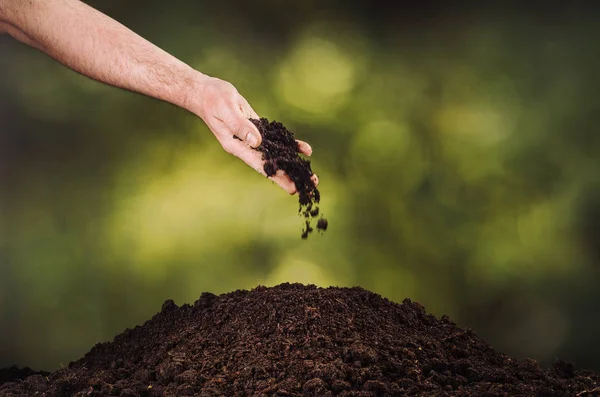 Yeşil bitki bokeh arka plan üzerinde siyah toprak dökülen el