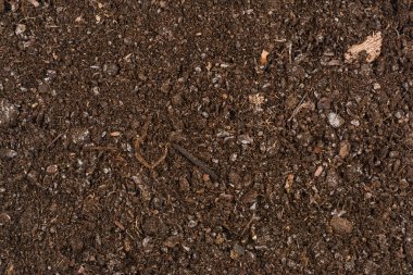Verimli Bahçe toprak doku arka plan Üstten Görünüm