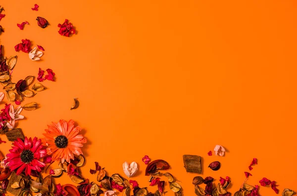Plochá ležela oranžové pozadí s květinami a kopírovat prostor — Stock fotografie