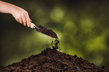 Yeşil bitki bokeh arka plan üzerinde siyah toprak dökülen el