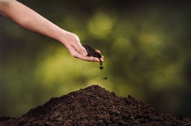 Yeşil bitki bokeh arka plan üzerinde siyah toprak dökülen el