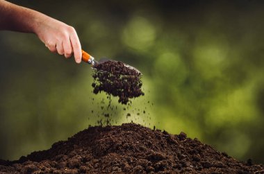 Yeşil bitki bokeh arka plan üzerinde siyah toprak dökülen el