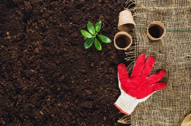 Bahçe Bahçe toprak doku arka plan üstten görünüm araçları