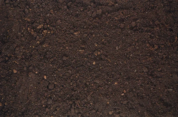 Γόνιμο χώμα κήπου υφή φόντου κάτοψη — Φωτογραφία Αρχείου