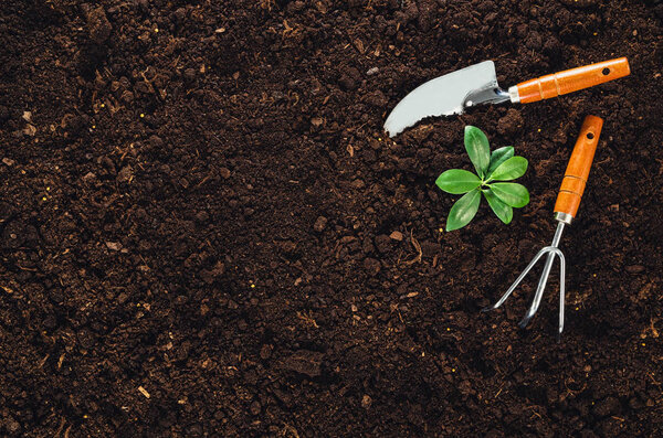 Gardening tools on garden soil texture background top view