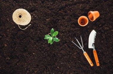 Bahçe Bahçe toprak doku arka plan üstten görünüm araçları