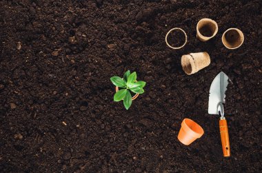 Bahçe Bahçe toprak doku arka plan üstten görünüm araçları