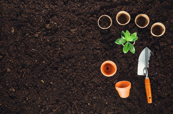 Gardening tools on garden soil texture background top view