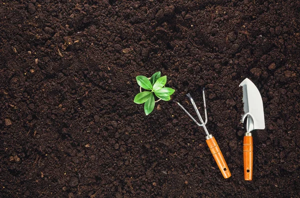 Gardening tools op tuingrond textuur achtergrond bovenaanzicht — Stockfoto