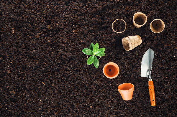 Gardening tools on garden soil texture background top view