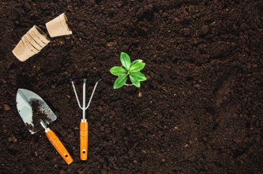 Bahçe Bahçe toprak doku arka plan üstten görünüm araçları