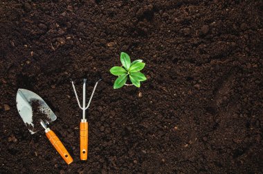 Bahçe Bahçe toprak doku arka plan üstten görünüm araçları