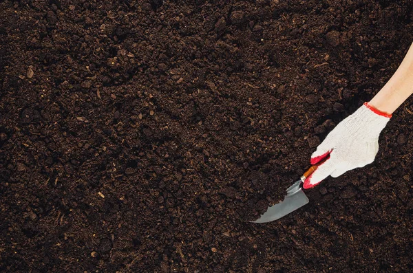 Trabalhando no jardim, plantando uma planta. Vista superior do solo . — Fotografia de Stock