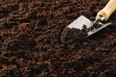 Bahçede, bir bitki tohum çalışan. Toprak Üstten Görünüm.