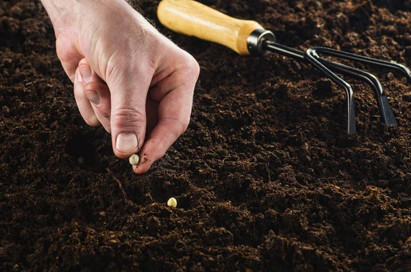 Lavorare in giardino, seminare una pianta. Vista dall'alto del suolo . — Foto Stock