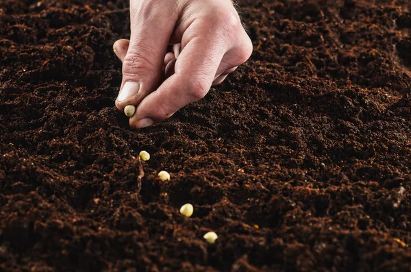 Werken in de tuin, een plant zaaien. Bovenaanzicht van de bodem. — Stockfoto