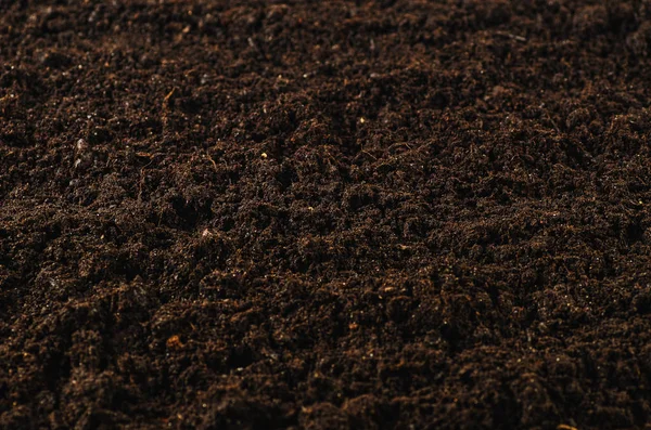 Fertile garden soil texture background top view — Stock Photo, Image