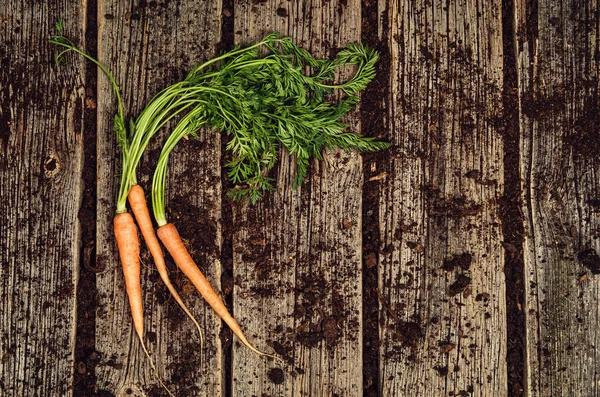 生的蔬菜食品，胡萝卜顶视图上老木背景 — 图库照片
