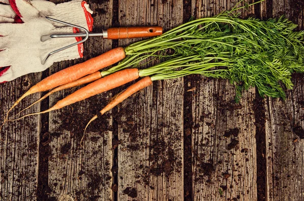 Cibo crudo di verdure, carota vista dall'alto su vecchio sfondo di legno — Foto Stock