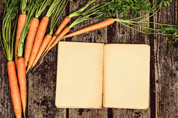 Raw vegetables food, carrot top view on old wooden background — Stock Photo, Image