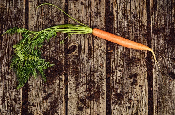 生的蔬菜食品，胡萝卜顶视图上老木背景 — 图库照片