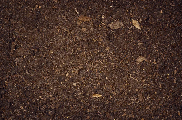 肥沃な庭の土壌テクスチャ背景のトップ ビュー — ストック写真