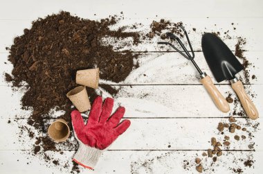 Beyaz ahşap plakalar arka plan üzerinde Araçlar üstten görünüm Bahçe
