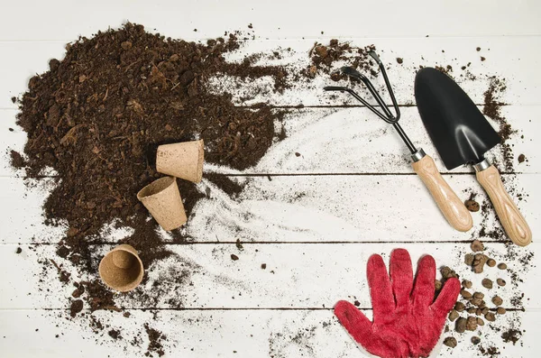 Gardening tools top view on white wooden planks background