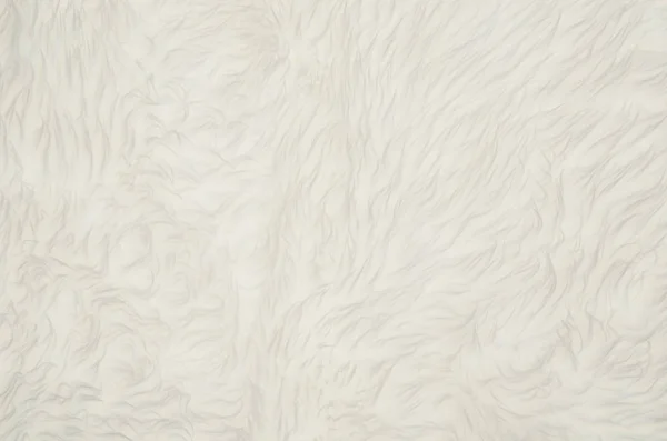 Beyaz kabarık kürk doku veya desen arka plan closeup — Stok fotoğraf