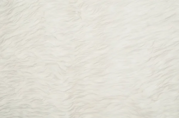 Vértes fehér pihés szőr textúra vagy mintázat háttere — Stock Fotó