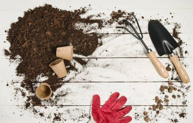 Beyaz ahşap plakalar arka plan üzerinde Araçlar üstten görünüm Bahçe